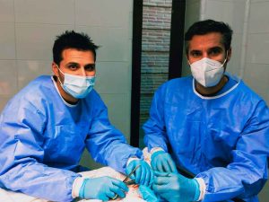 aecp_diseccion-anatomica_02