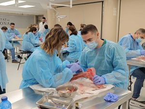 Curso-Diseccion-2024_01_2