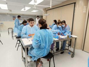 Curso-Diseccion-2024_05_2