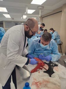Curso-Diseccion-2024_08_2