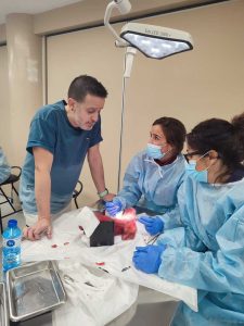 Curso-Diseccion-2024_12_2
